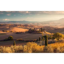Komar  Vlies Fototapete Toskanagold 400x250 cm