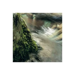 Komar  Vlies Fototapete Tranquil Pool 400x250 cm