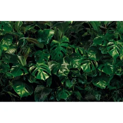 Komar  Vlies Fototapete Tropical Wall 400x250 cm