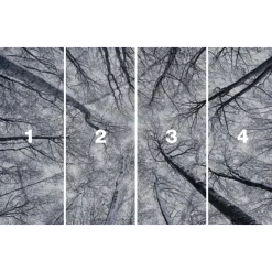 Komar  Vlies Fototapete Up 400x250 cm
