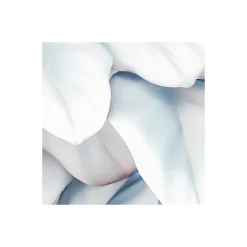 Komar  Vlies Fototapete Vertical Garden 400x250 cm