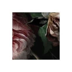 Komar  Vlies Fototapete Victoria Black 400x250 cm