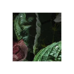 Komar  Vlies Fototapete Victoria Black 400x250 cm