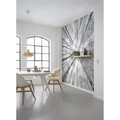 Komar  Vlies Fototapete Weiss-Blau 450x280 cm