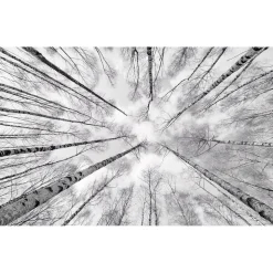 Komar  Vlies Fototapete Weiss-Blau 450x280 cm