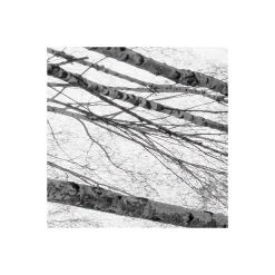 Komar  Vlies Fototapete Weiss-Blau 450x280 cm