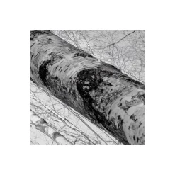 Komar  Vlies Fototapete Weiss-Blau 450x280 cm