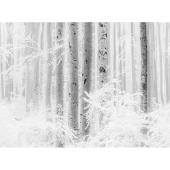 Komar  Vlies Fototapete Winter Wood 400x280 cm
