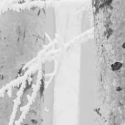 Komar  Vlies Fototapete Winter Wood 400x280 cm