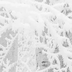 Komar  Vlies Fototapete Winter Wood 400x280 cm