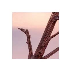 Komar  Vlies Fototapete Wild West Heroes 450x280 cm