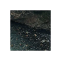 Komar  Vlies Fototapete Wild Canada 450x280 cm