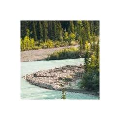 Komar  Vlies Fototapete Wild Canada 450x280 cm