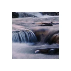 Komar  Vlies Fototapete Wild Paradise 450x280 cm