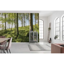 Komar Vlies Fototapete Zauberhaftes Buchenspektakel 450x280 cm