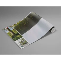 Komar  Vlies Fototapete Zauberhaftes Buchenspektakel 450x280 cm