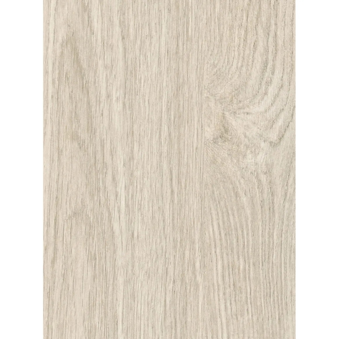 Paneel Basic Eiche natur 260 x 15,4 x 0,8 cm