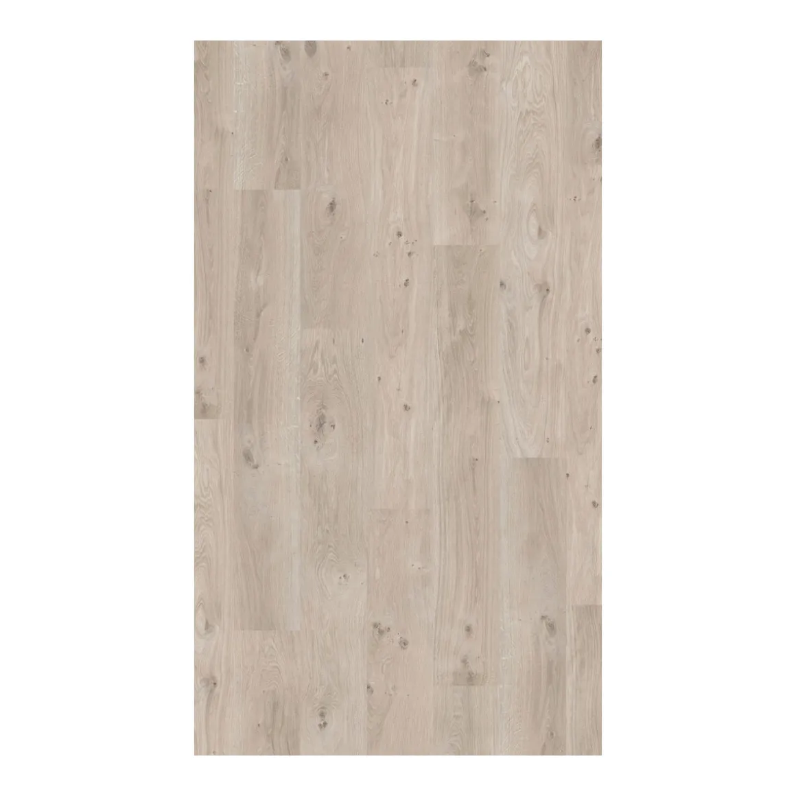 Parador Sonder Laminat Basic 200 Eiche Natur grau 1285 x 194 x 7 mm