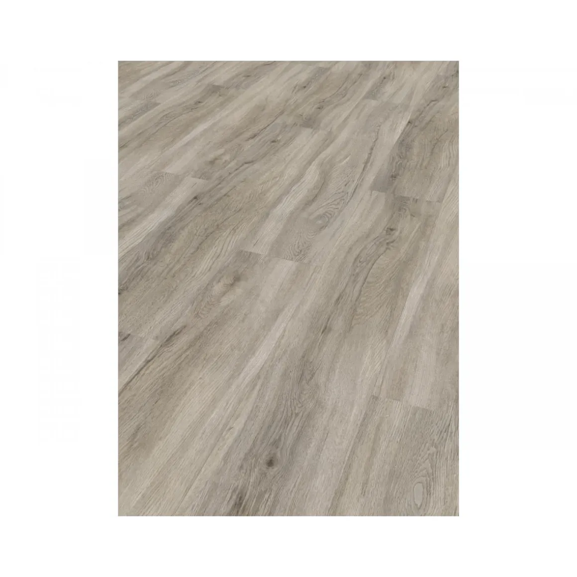 Parador Vinylboden Basic 30 Eiche pastellgrau