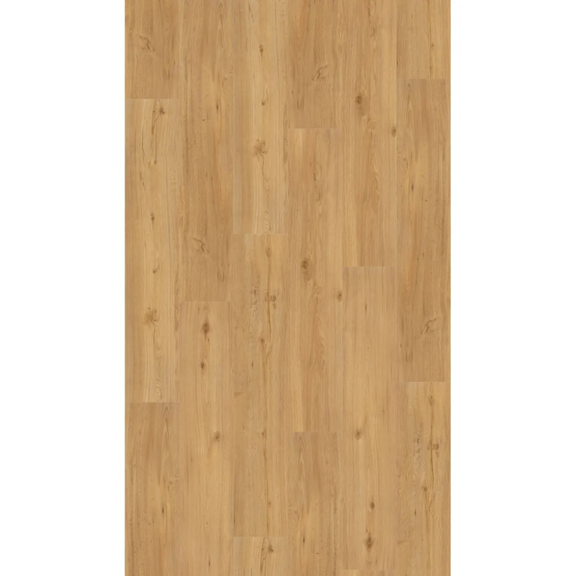 Parador Vinylboden Basic 30 Eiche Natur