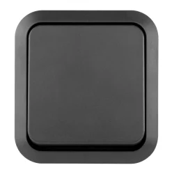 REV Ritter Aus-/ Wechselschalter AquaStorm