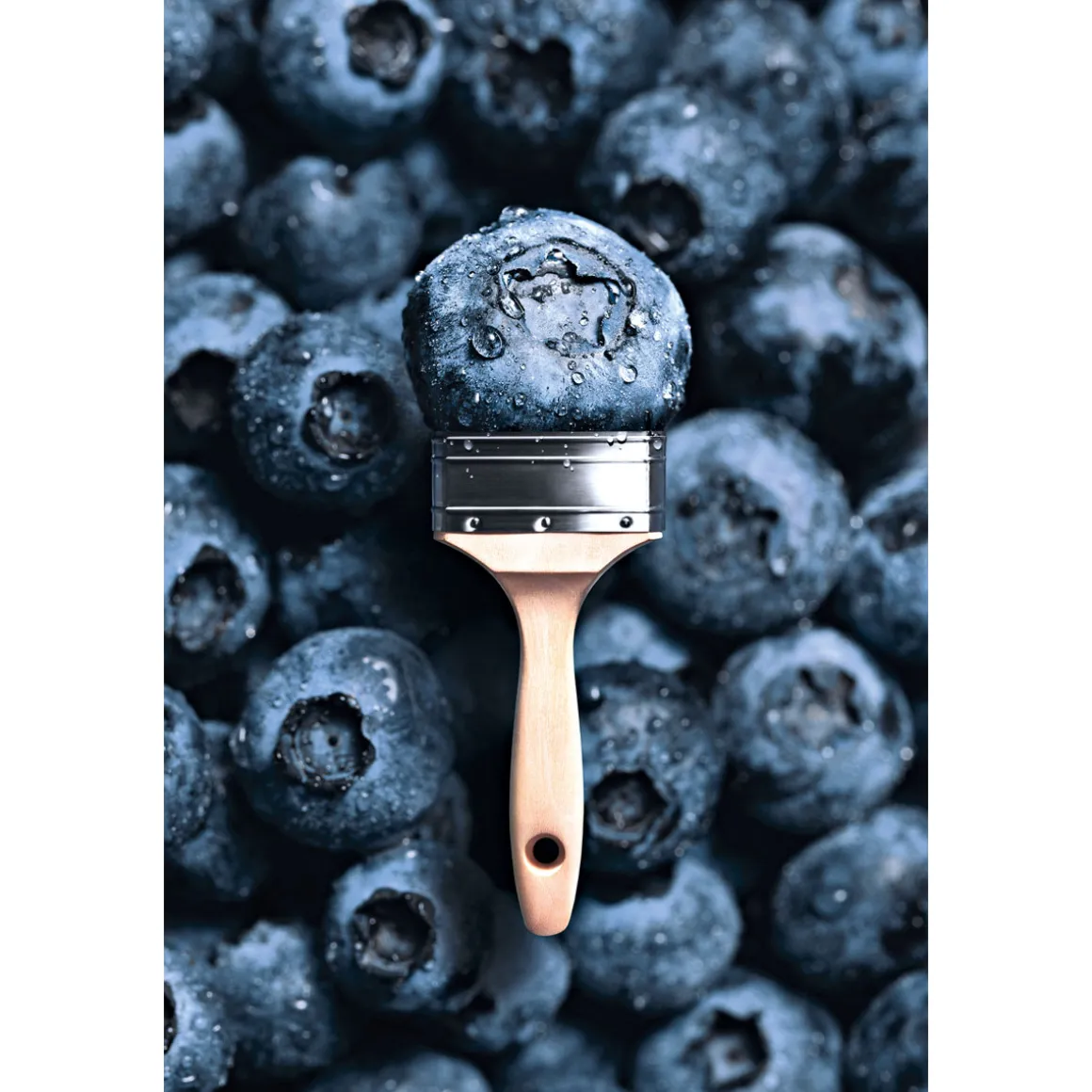 Schöner Wohnen Farbe Trendfarbe Blueberry 2,5 L