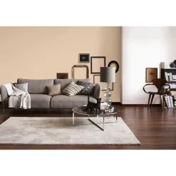 Schöner Wohnen Farbe  Wandfarbe Trendfarbe sand 5 Liter