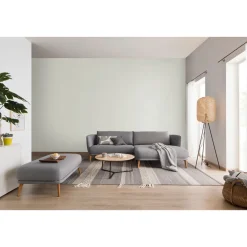 Schöner Wohnen Farbe  Wandfarbe Glimmerfarbe silvershine grey 2,5 Liter