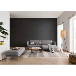 Schöner Wohnen Farbe  Wandfarbe Glimmerfarbe moonshine black 2,5 Liter