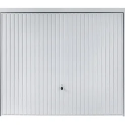 Schwingtor „N80“, 2500x2125 mm, weiß