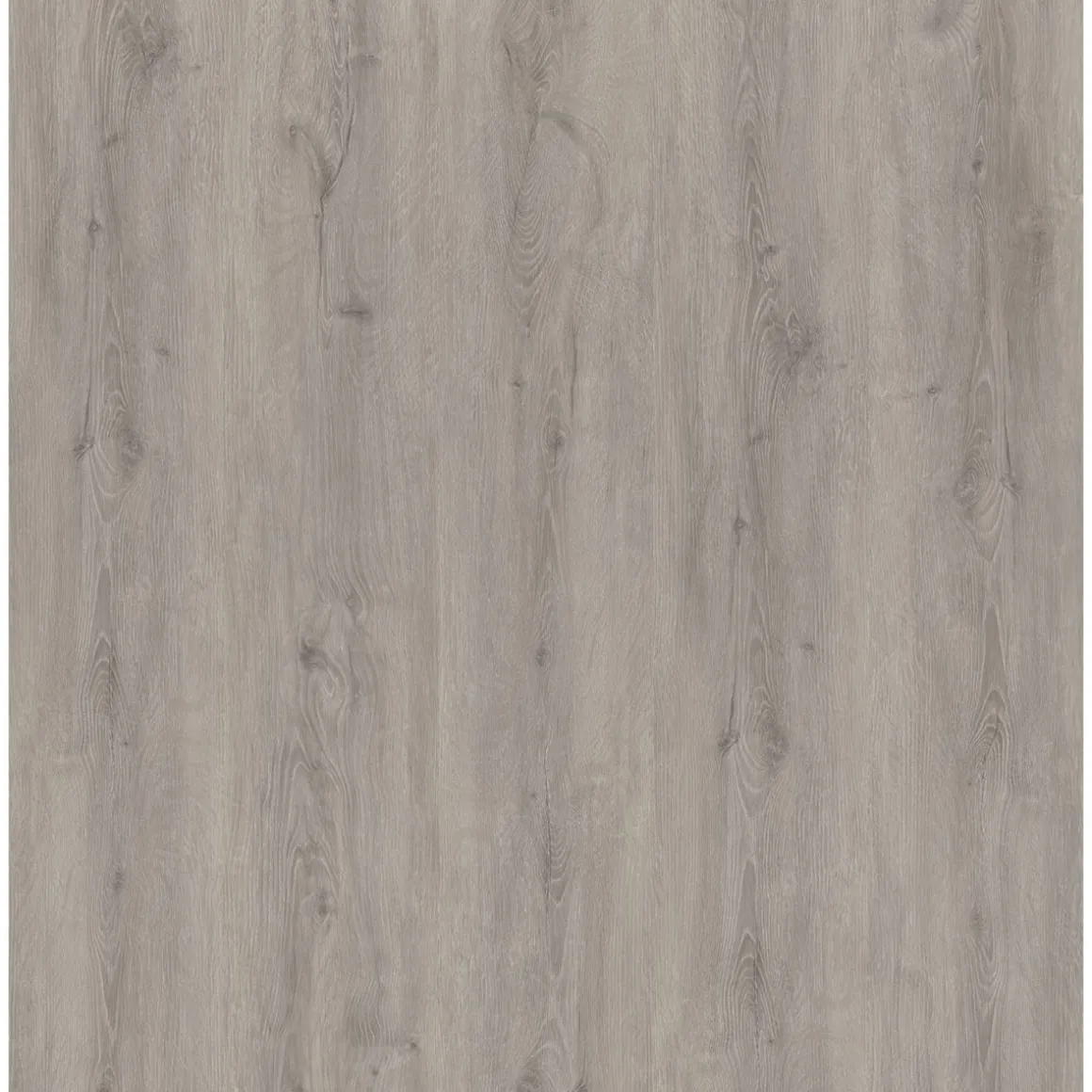 Strong SPC Vinylboden Carolina 122 x 228 x 3,8 mm