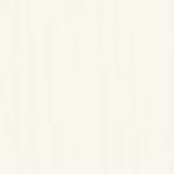 Vincent 2in1 Dauerschutz Weiß 2,5 L