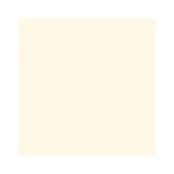 Vincent Wand- und Deckencolor Creamy 10 L