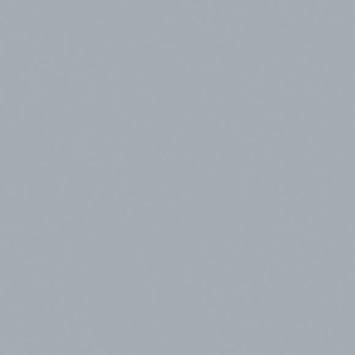 Vincent Zaunfarbe grau 2 l