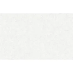 Vliestapete neue Bude 2.0 10,05 x 0,53 m Uni weiß